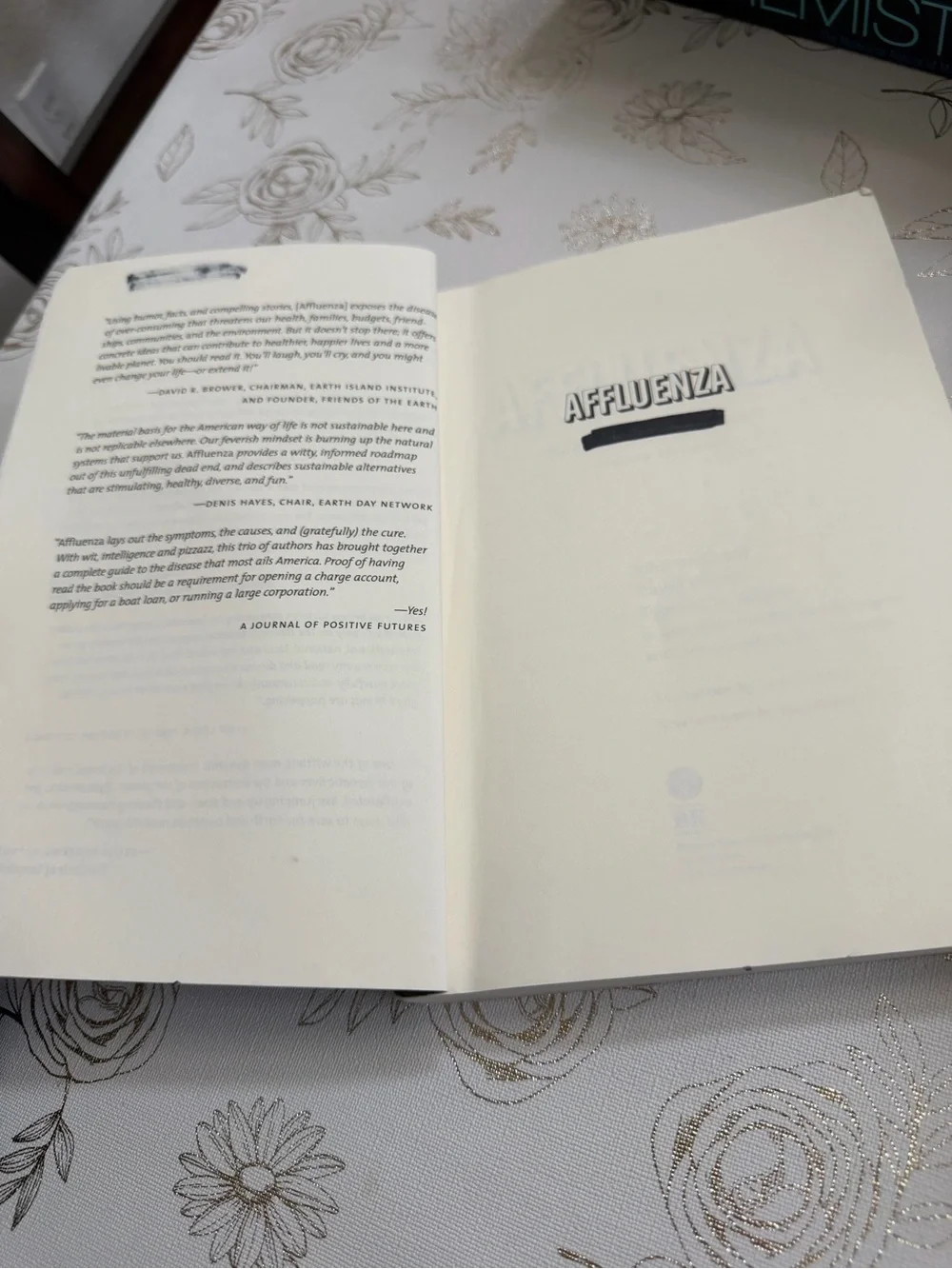 Affluenza: The All-Consuming Epidemic (2nd Edition) Paperback - De Graaf, Wann